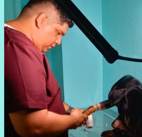 El Dr. José Ma bañando a un perro en guardia nocturna